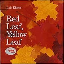 red leaf yellow leaf