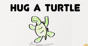 Hug a Turtle