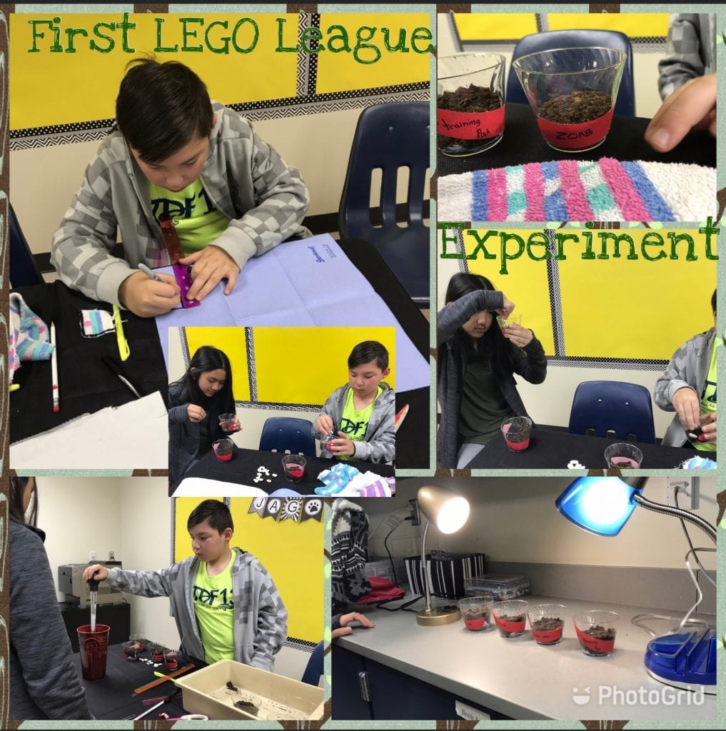 FLL experiment