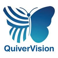 quiver vision