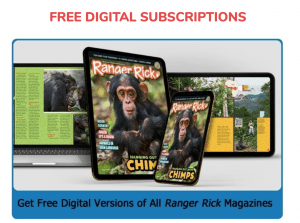 Ranger Rick magazines