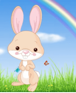 bunny bingo